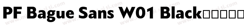 PF Bague Sans W01 Black字体转换